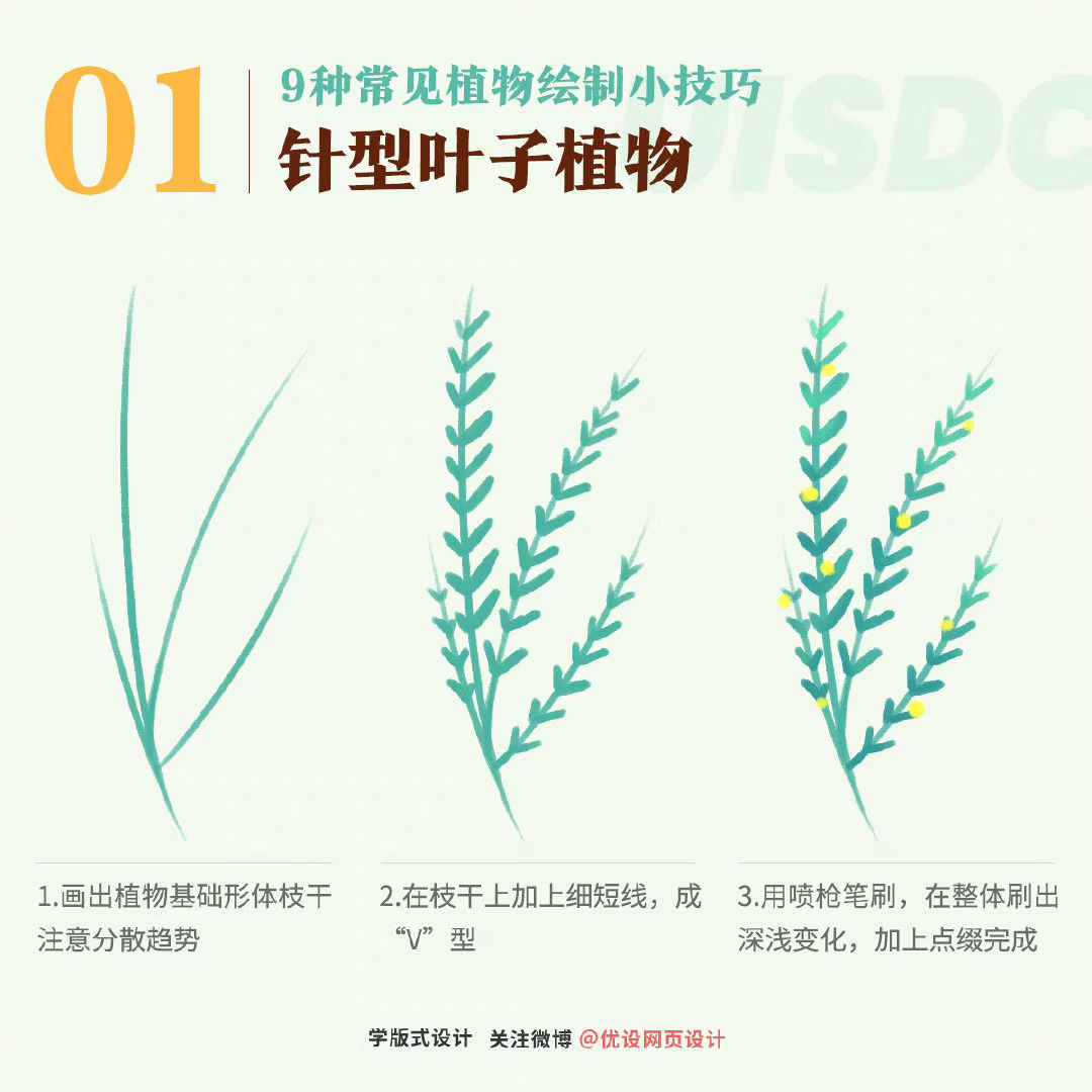 手绘教程！9种常见植物叶子绘制方法